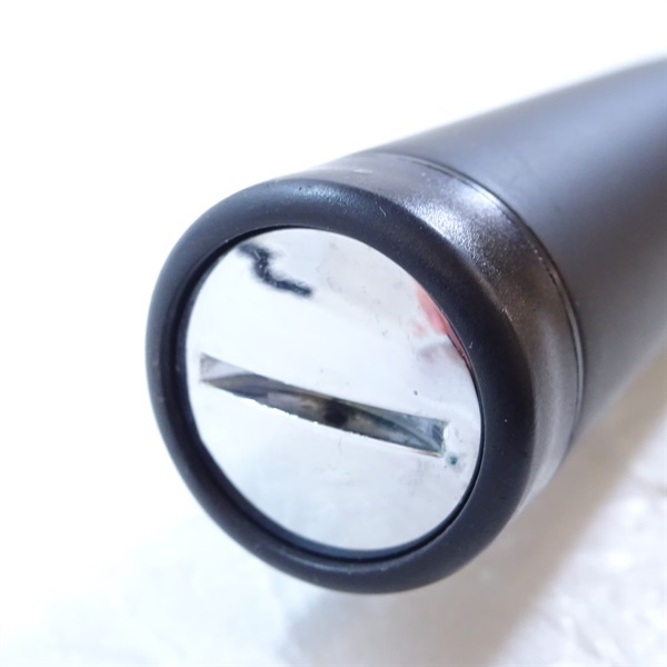 ２１アオリスタ５００